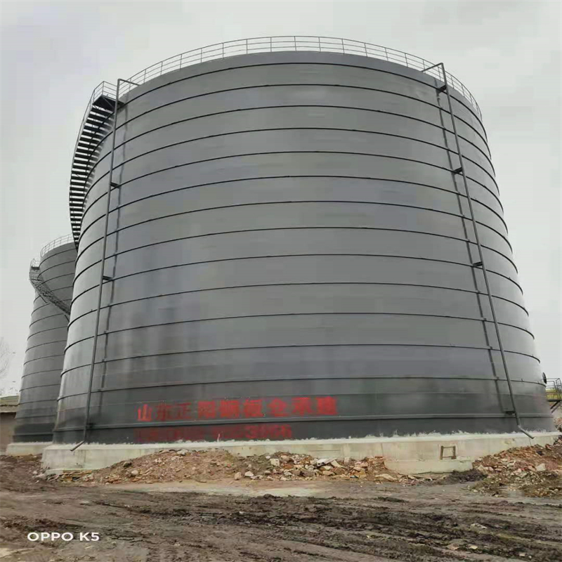 庐阳3万吨大型钢板库