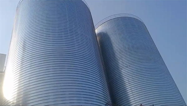 庐阳2座混凝土高架卷板仓